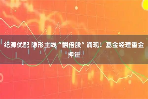 纪源优配 隐形主线“翻倍股”涌现！基金经理重金押注