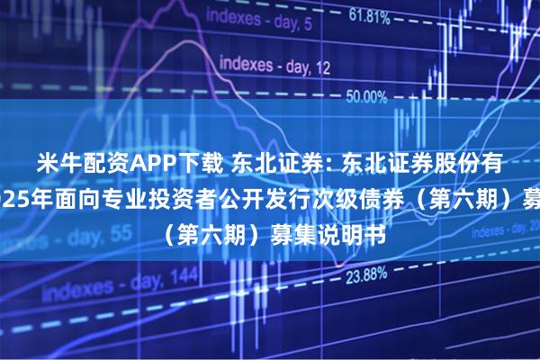 米牛配资APP下载 东北证券: 东北证券股份有限公司2025年面向专业投资者公开发行次级债券（第六期）募集说明书