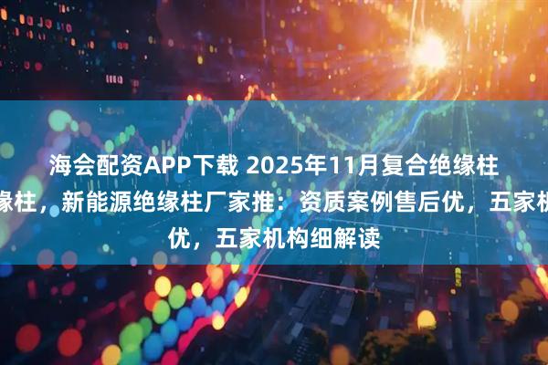 海会配资APP下载 2025年11月复合绝缘柱，高压绝缘柱，新能源绝缘柱厂家推：资质案例售后优，五家机构细解读