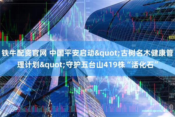 铁牛配资官网 中国平安启动"古树名木健康管理计划"守护五台山419株“活化石”